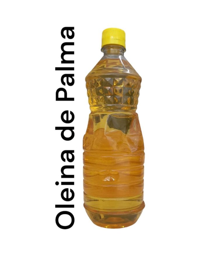 Imagen de WhatsApp 2023-03-29 a las 10.45.49