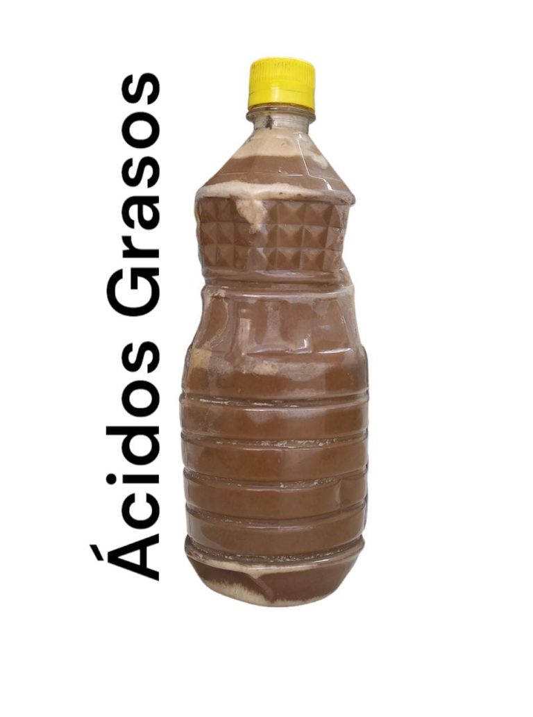 Imagen de WhatsApp 2023-03-29 a las 10.49.57